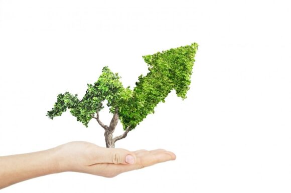 Liderazgo y Sostenibilidad: Estrategias Clave para Empresas Responsables
