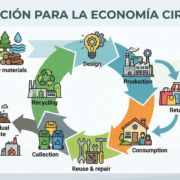 Diagrama de economía circular aplicado al ciclo del agua, mostrando etapas de diseño, producción, consumo, reuso y reciclaje para la sostenibilidad hídrica.
